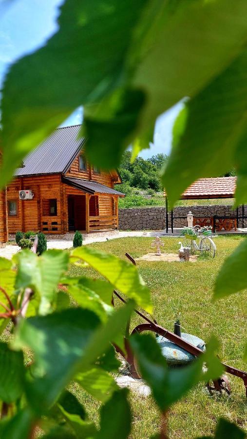 Tatil Evi Vinogradina Eco Vukcevic Virpazar
